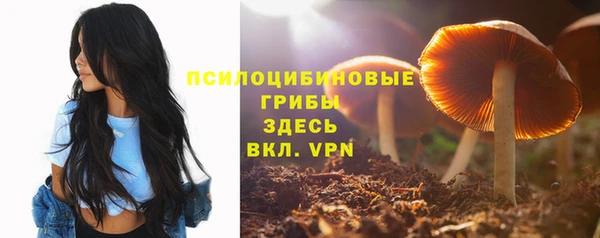 PSILOCYBIN Белоозёрский